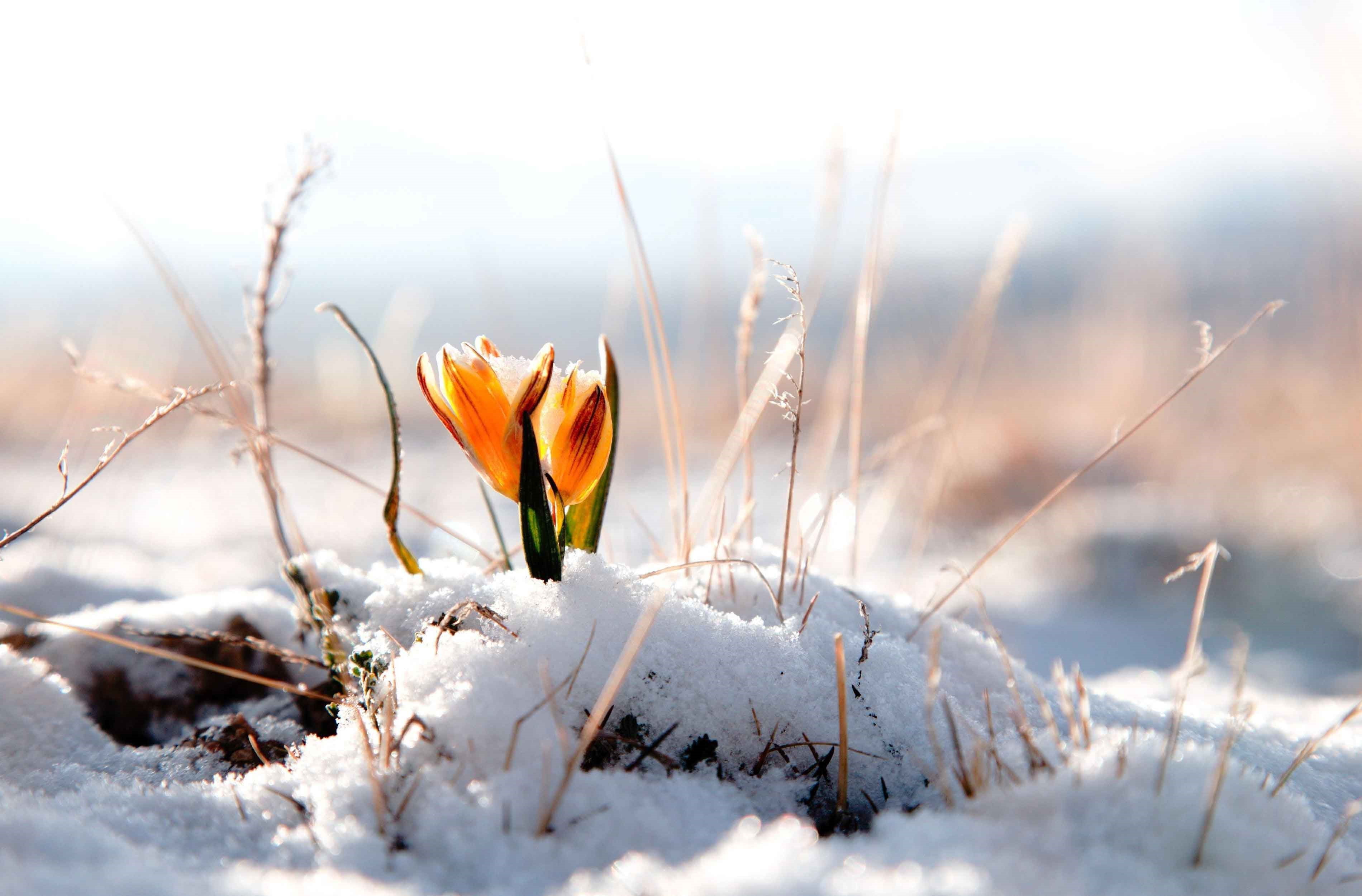 Care este lucrarea Fiului lui Dumnezeu