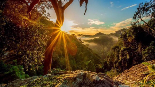 Pilda smochinul neroditor 