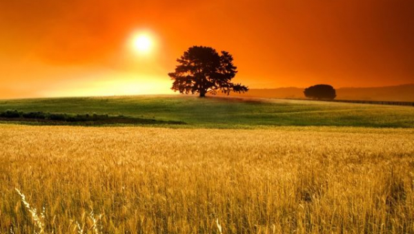 Pilda bogatul şi Lazăr