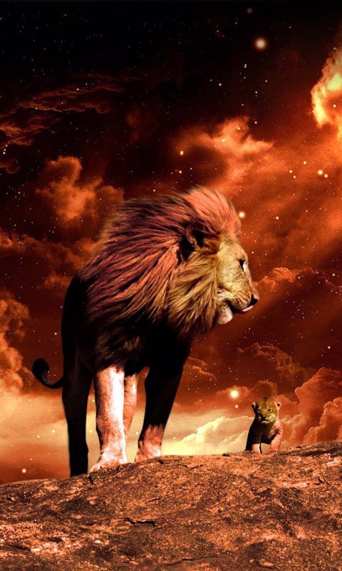 Pilda nunţii fiului de împărat