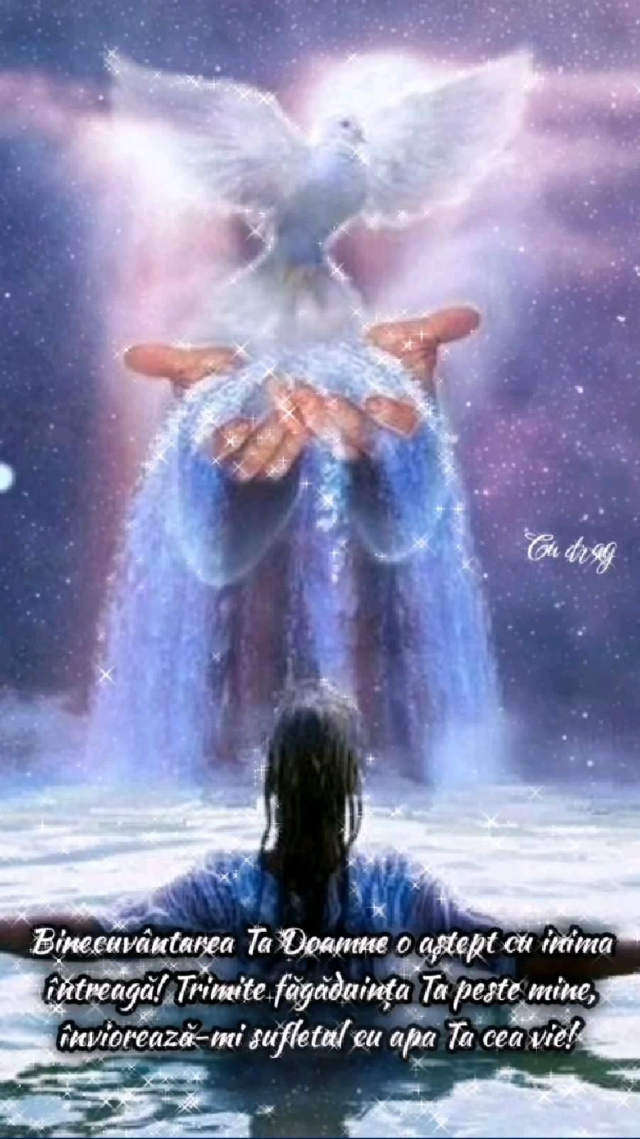 Făgăduința Tatălui