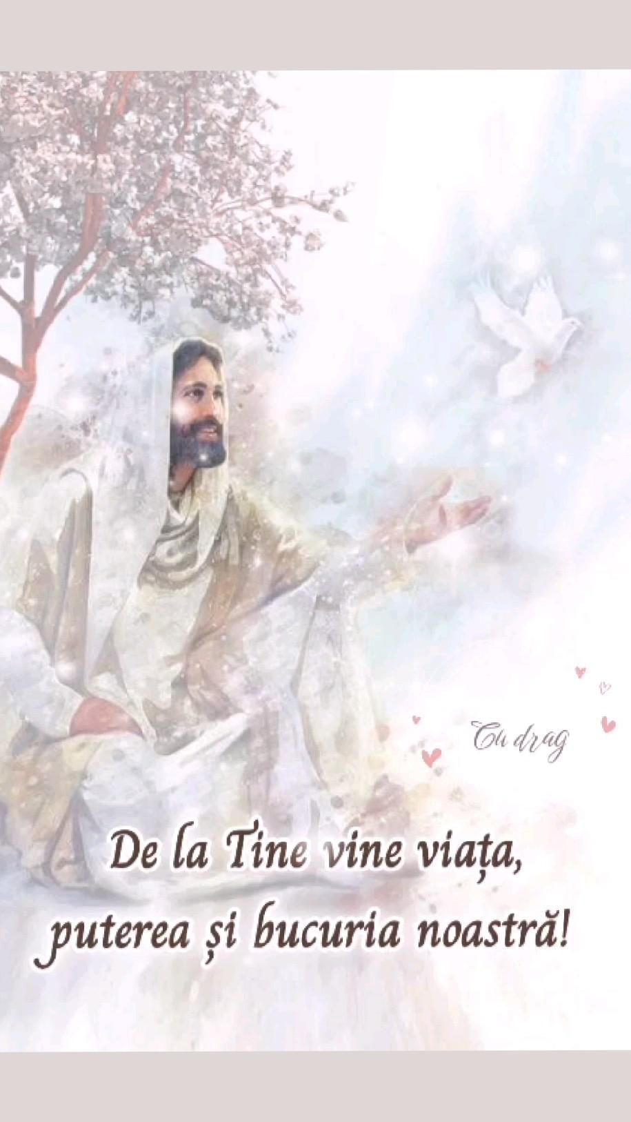 eca77f28-98ab-471c-a963-bc248b169f0e