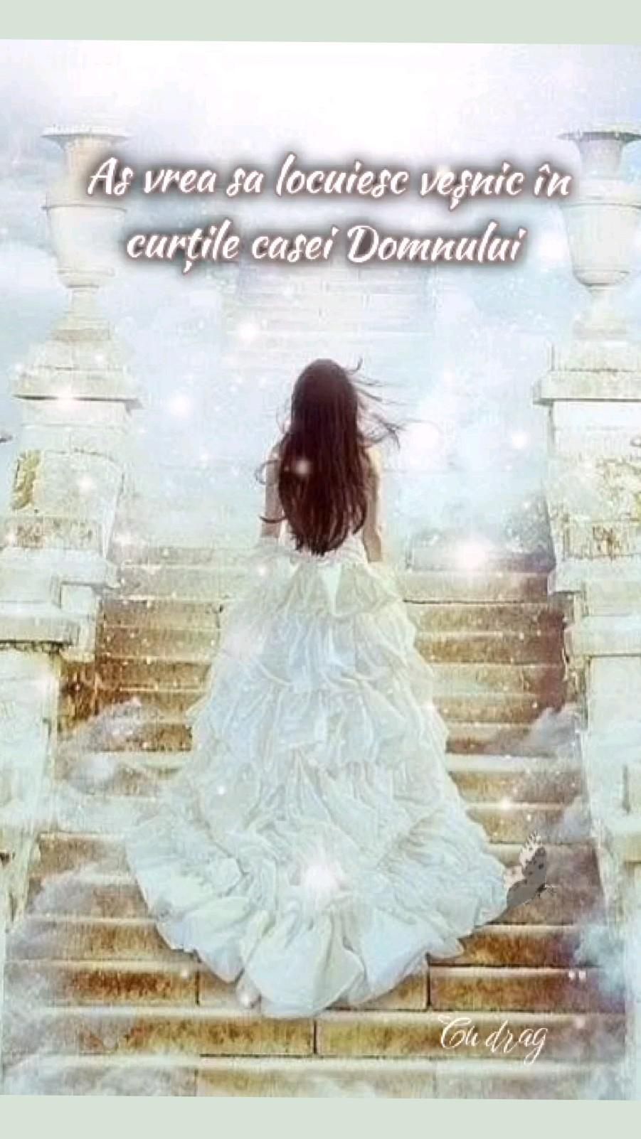 15. Dorința inimii (2)