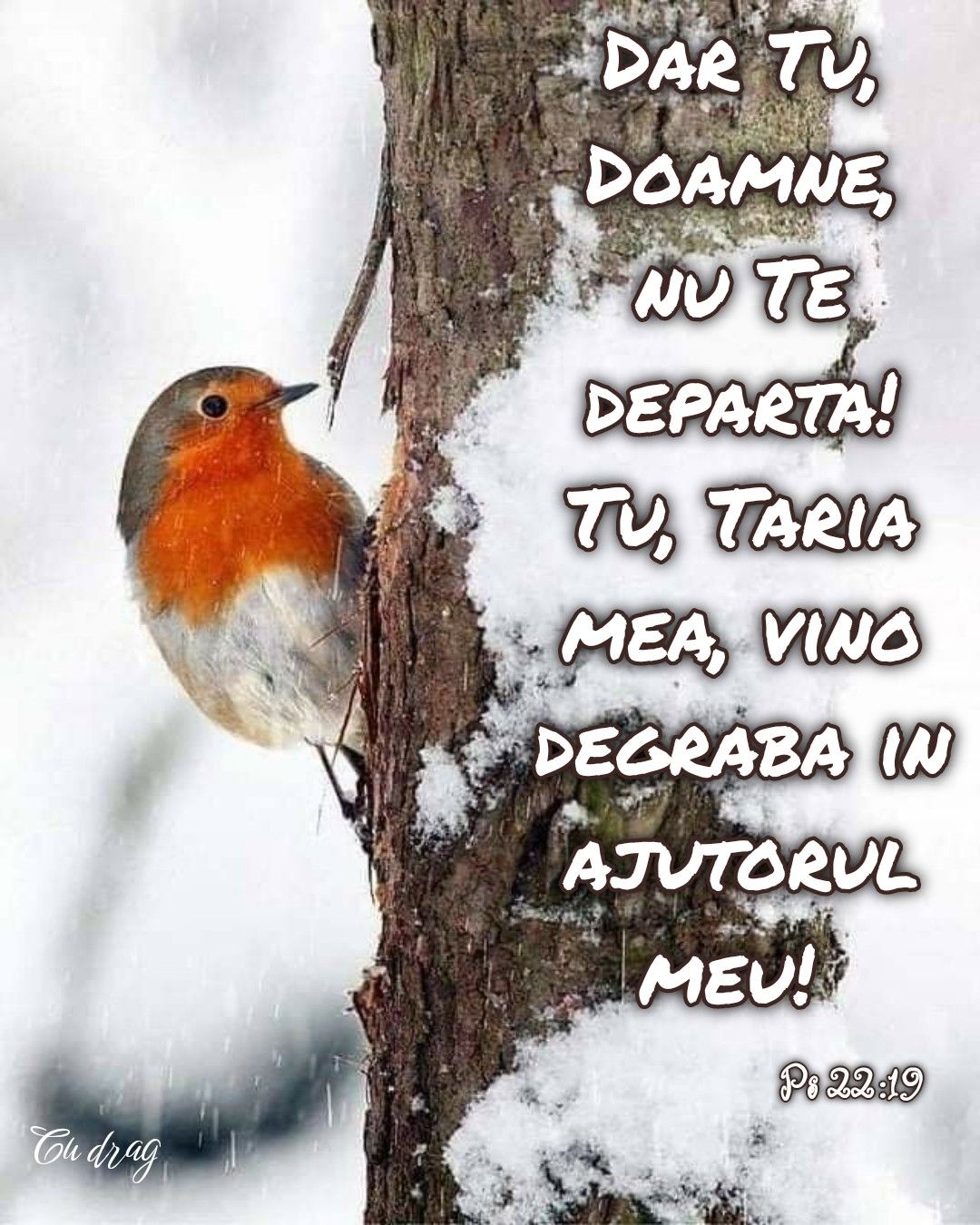 16. Verset Psalmi 14