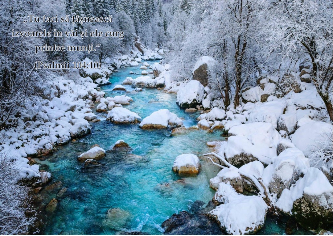 Imagine13.Izvoare-in-munti